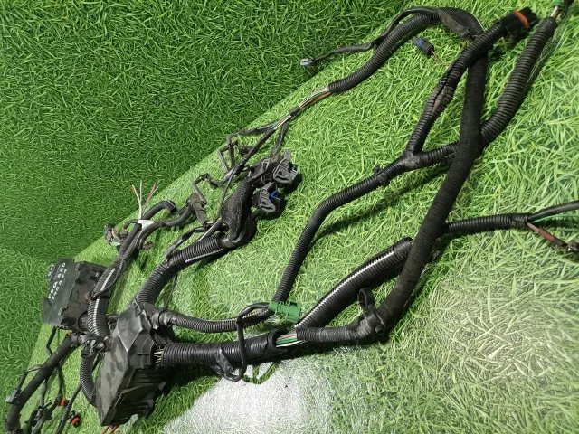 Проводка двигателя к Renault Espace, 2005 г.