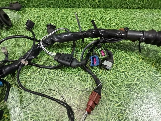 Проводка двигателя к Volkswagen Passat, 2000 г.