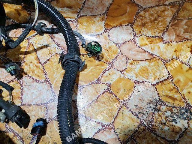 Проводка двигателя к Renault Scenic, 1999 г.