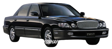 Hyundai Dynasty